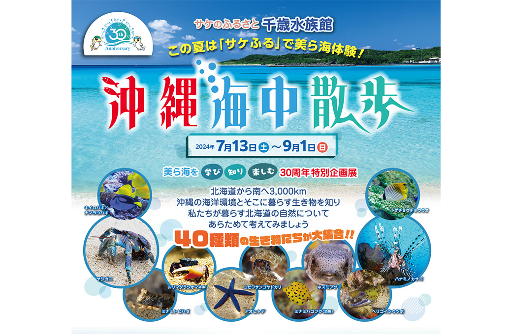 北海道の子供たちが沖縄の海を学び、地元北海道の自然を再発見する機会に